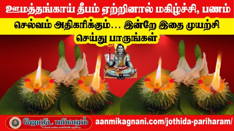 ஊமத்தங்காய் தீபம் ஏற்றினால் மகிழ்ச்சி, பணம் மற்றும் செல்வம் அதிகரிக்கும்… இன்றே இதை முயற்சி செய்து பாருங்கள்